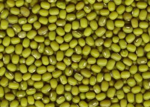 绿豆营养价值剖析