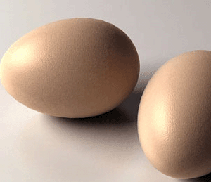 鸡蛋营养价值剖析