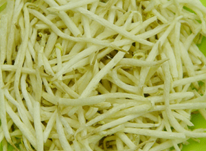 绿豆芽营养价值剖析
