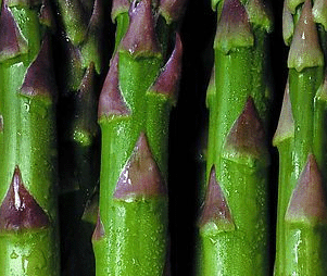 竹笋的营养价值剖析