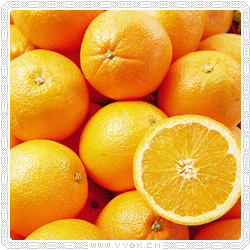 脐橙简介及营养价值分析