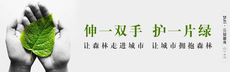 月鳢的营养知识及做法详细介绍