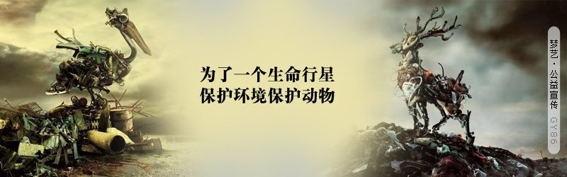 炖奶汤鲫鱼萝卜丝的做法详细介绍