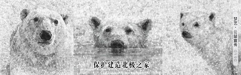 桂圆童子鸡-安心养神